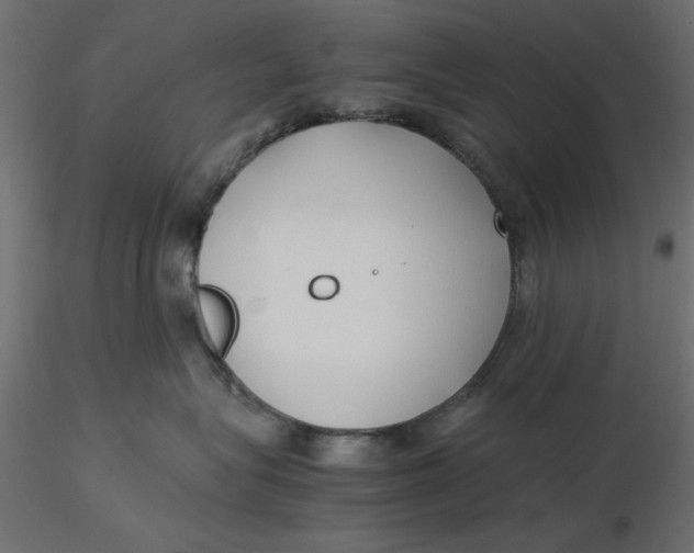 X0000116620575200912312141