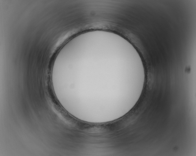 X0000116620578200912312141