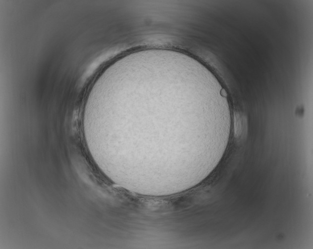 X0000116620579200912312141