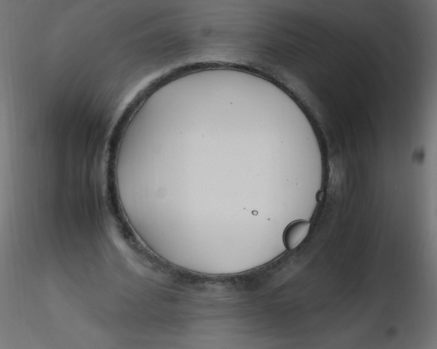 X0000116620580200912312141