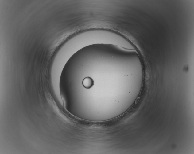 X0000116620581200912312141