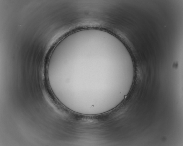 X0000116620582200912312140