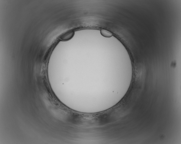 X0000116620583200912312140