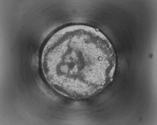 X0000116620584200912312140