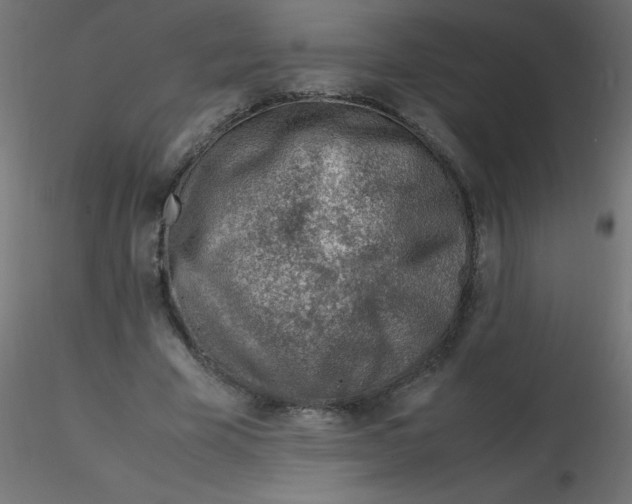 X0000116620585200912312140