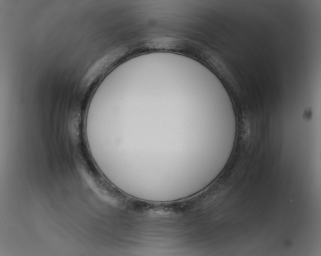 X0000116620586200912312140