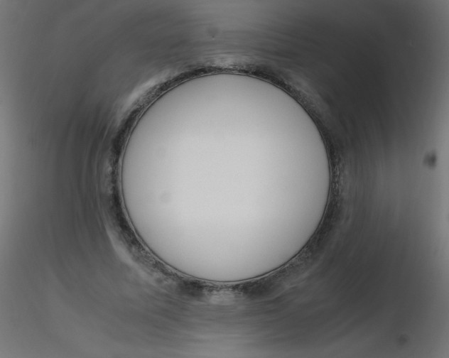 X0000116620587200912312140