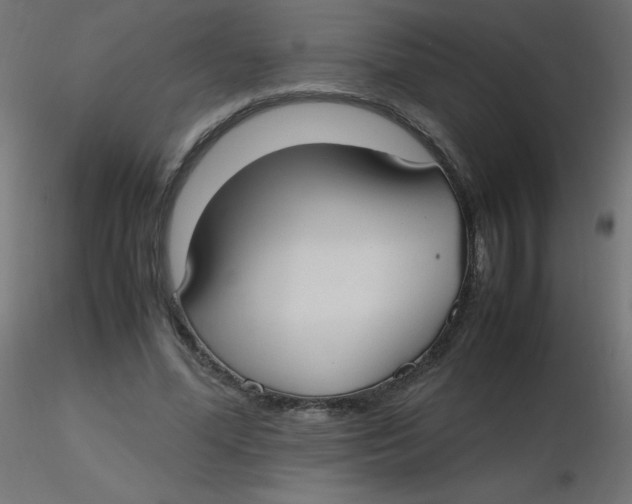 X0000116620588200912312140