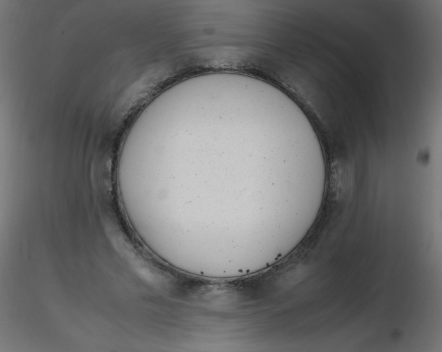 X0000116620589200912312140