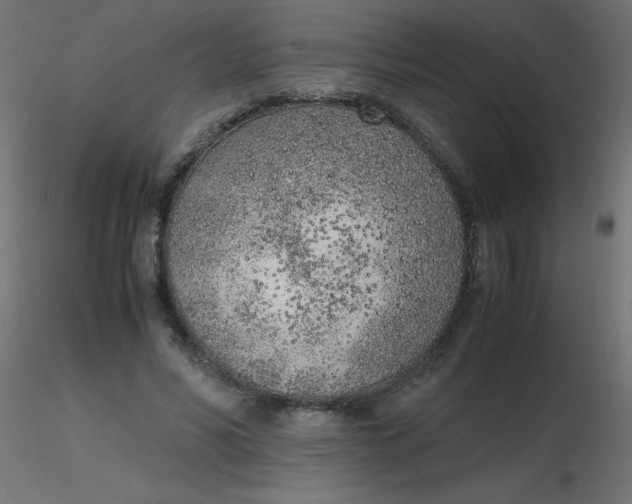 X0000116620590200912312140