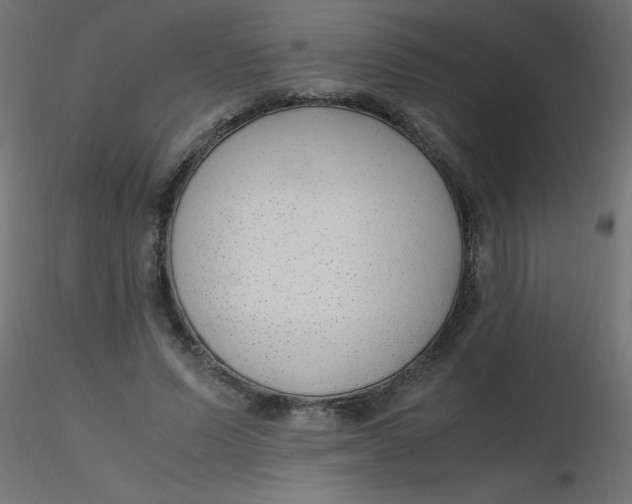 X0000116620591200912312140