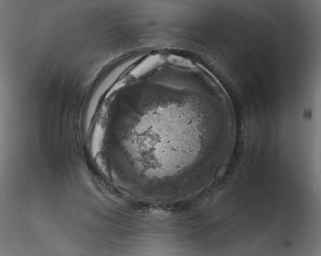 X0000116620592200912312140