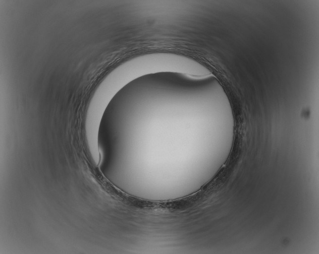 X0000116620593200912312140