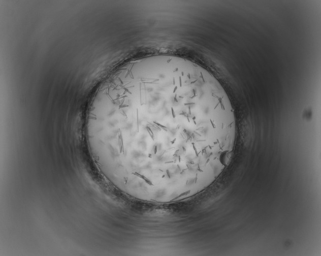 X0000116620594200912312140