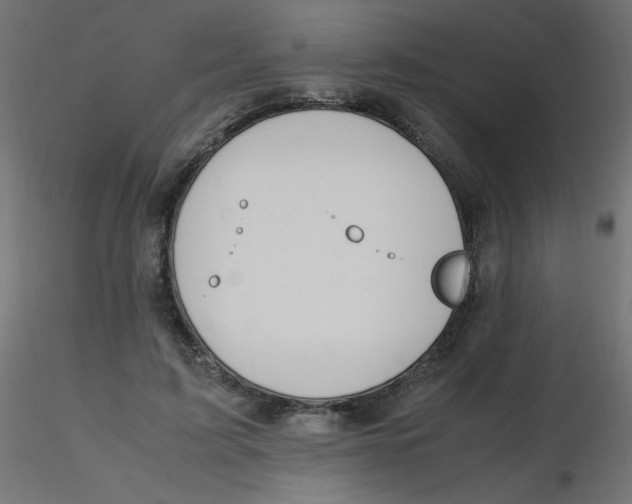 X0000116620595200912312140