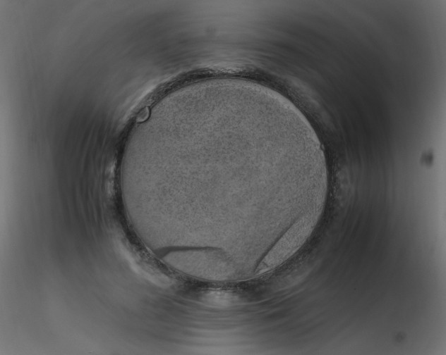 X0000116620596200912312140