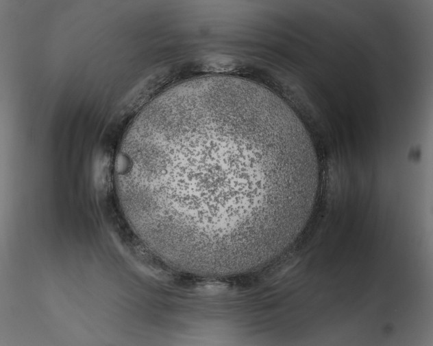 X0000116620598200912312140