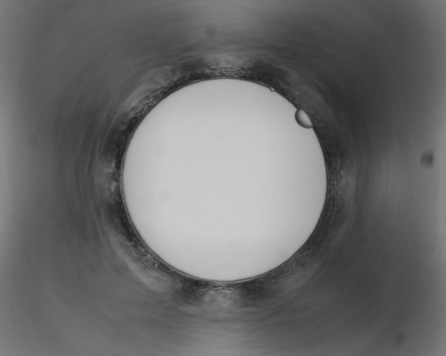 X0000116620599200912312140