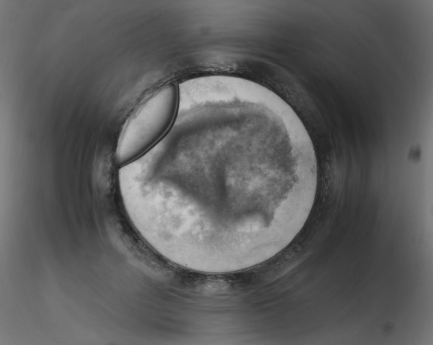 X0000116620600200912312140