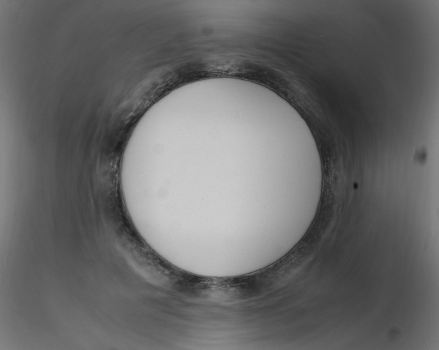 X0000116620601200912312140