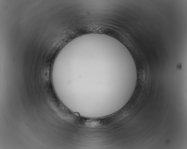 X0000116620602200912312140