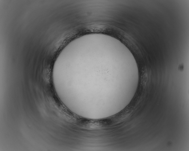 X0000116620604200912312140