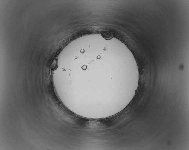 X0000116620605200912312140