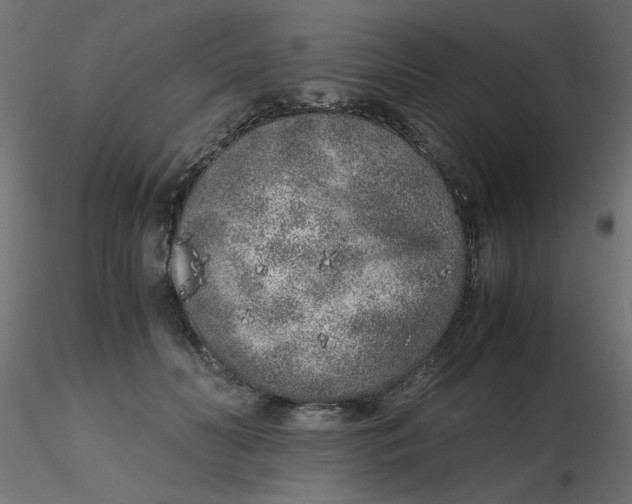 X0000116620606200912312140