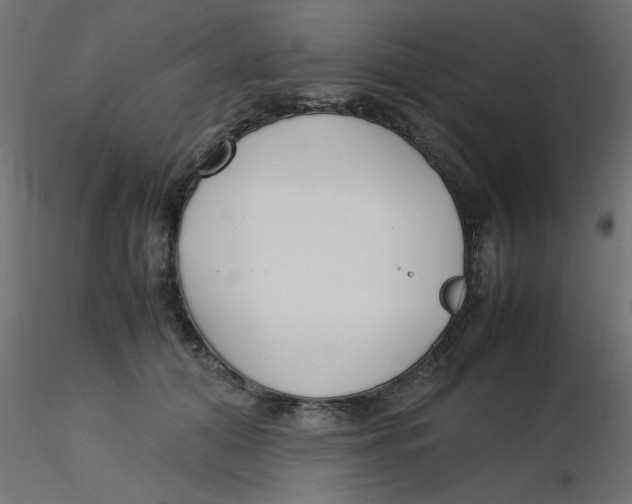 X0000116620608200912312140