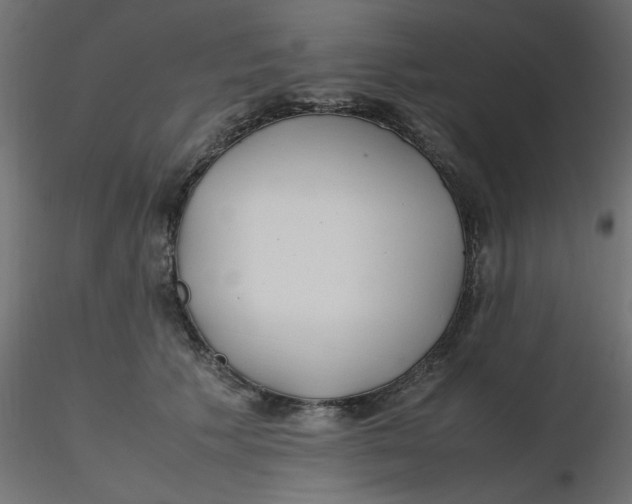 X0000116620609200912312140