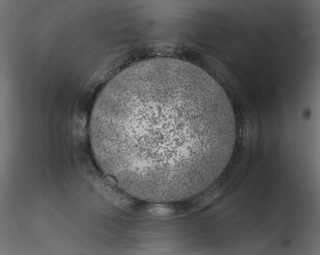 X0000116620610200912312140