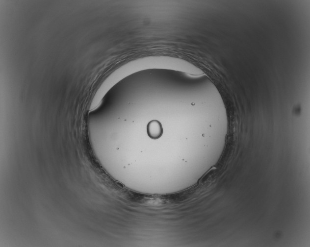 X0000116620611200912312140