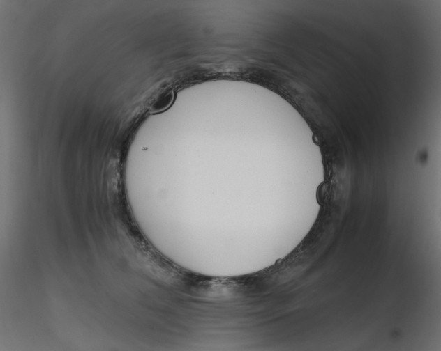 X0000116620612200912312140