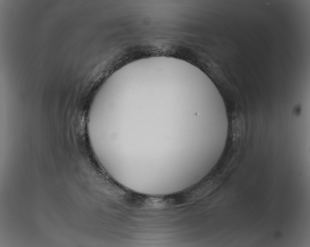 X0000116620613200912312140