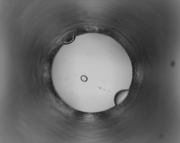 X0000116620616200912312140