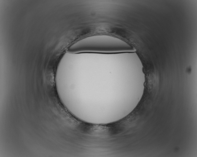 X0000116620617200912312140