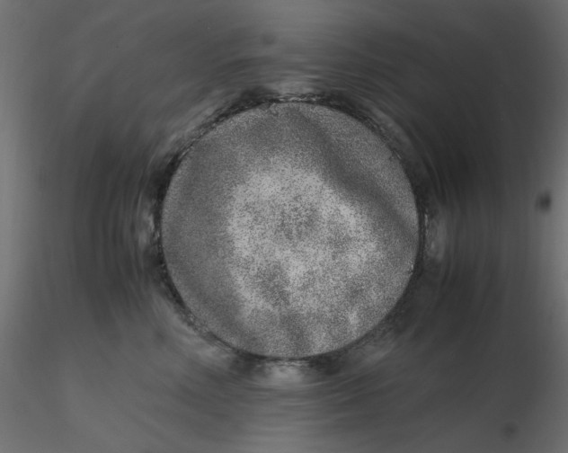 X0000116620618200912312140