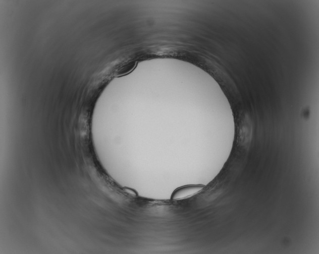 X0000116620620200912312140