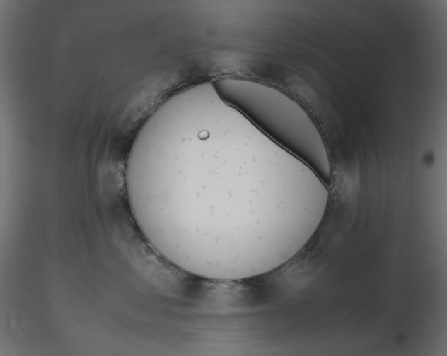 X0000116620621200912312140