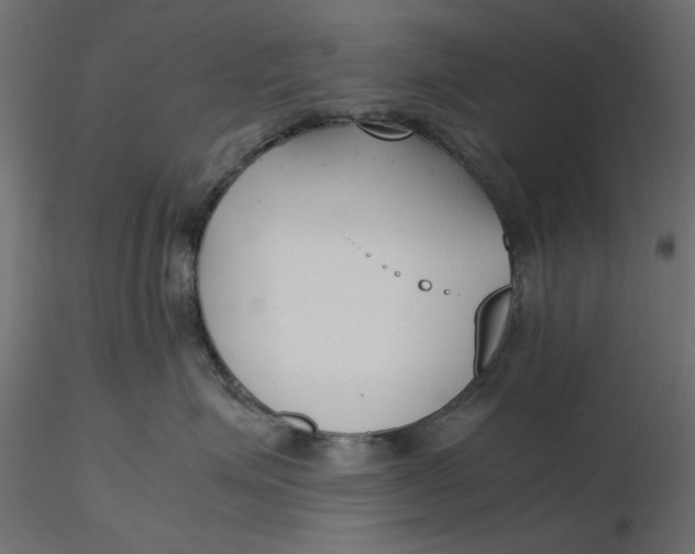 X0000116620623200912312140