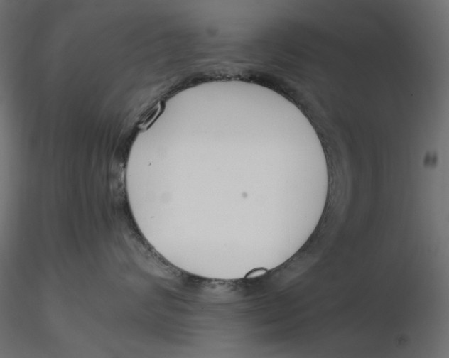 X0000116620624200912312140