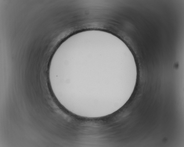 X0000116620625200912312139