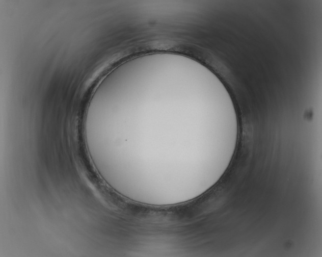 X0000116620626200912312139