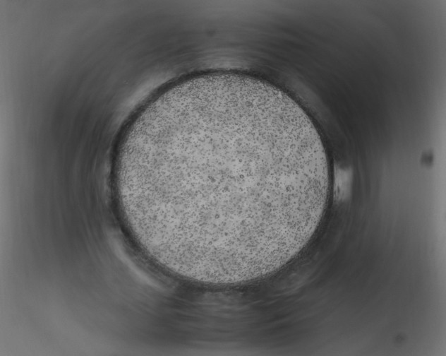 X0000116620627200912312139