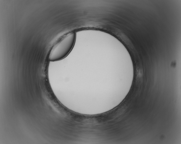 X0000116620628200912312139