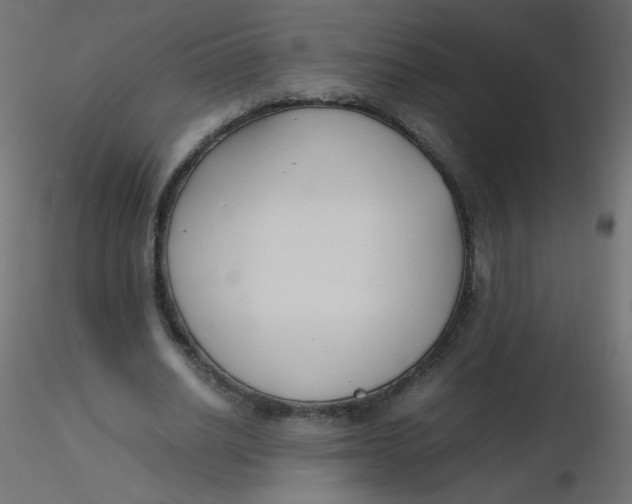 X0000116620630200912312139