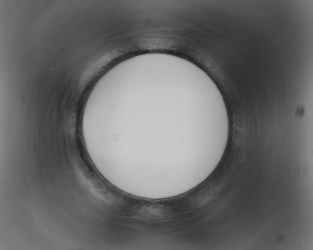 X0000116620631200912312139