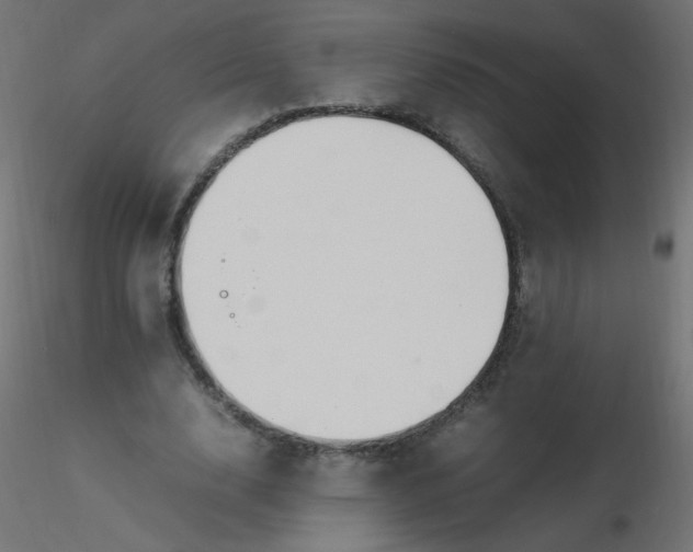 X0000116620632200912312139