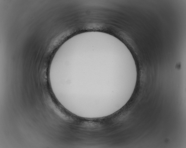 X0000116620633200912312139