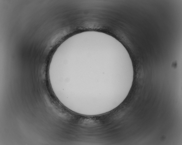 X0000116620635200912312139